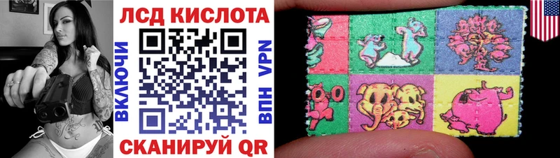 blacksprut как зайти  Ядрин  Марки N-bome 1,8мг 