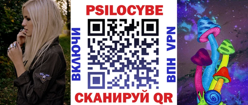 Псилоцибиновые грибы Magic Shrooms  блэк спрут как зайти  Ядрин  магазин продажи наркотиков 