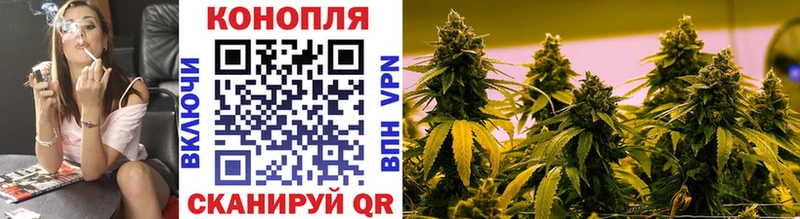 Каннабис сатива  маркетплейс какой сайт  Ядрин 